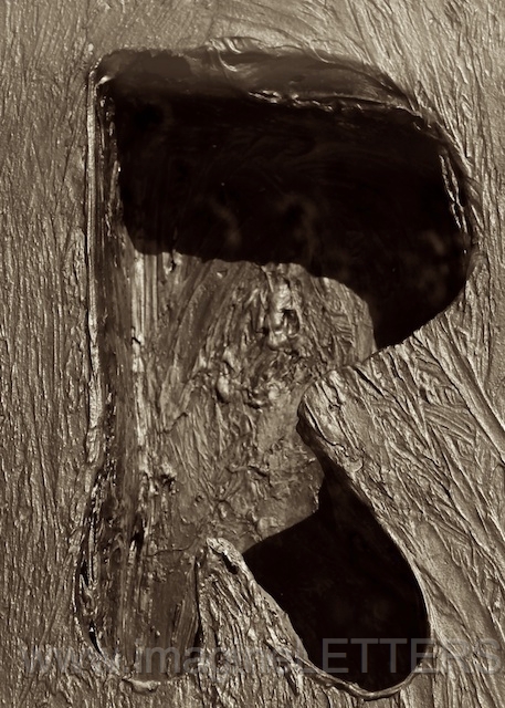 Wall_Art_Alphabet_Photography_Art_ 1898.jpg